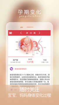 孕妇伴侣 截图4